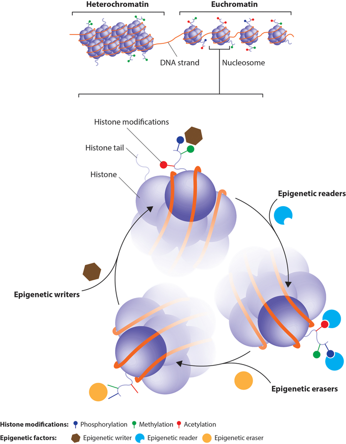 Figure 2: