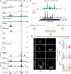 Extended Data Fig. 1 |