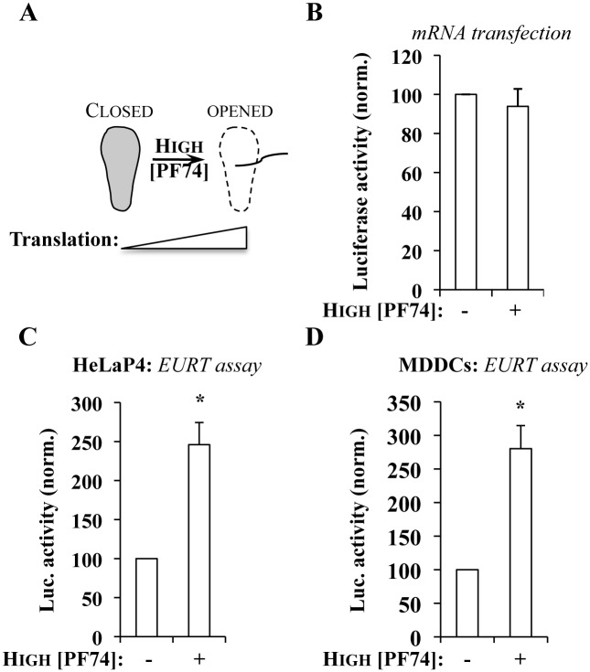 Fig 4