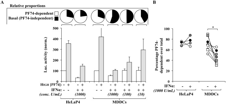 Fig 11