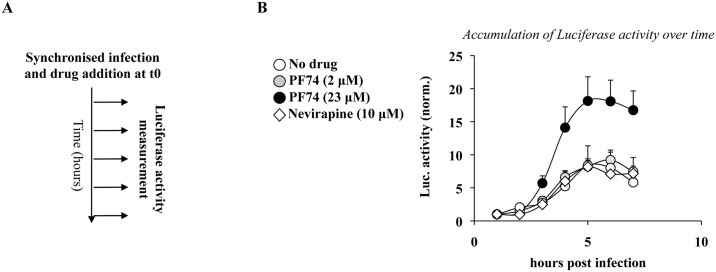 Fig 10