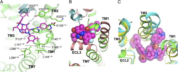 Fig. 3.