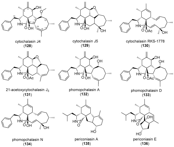 Figure 12