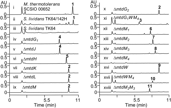 Fig. 3.