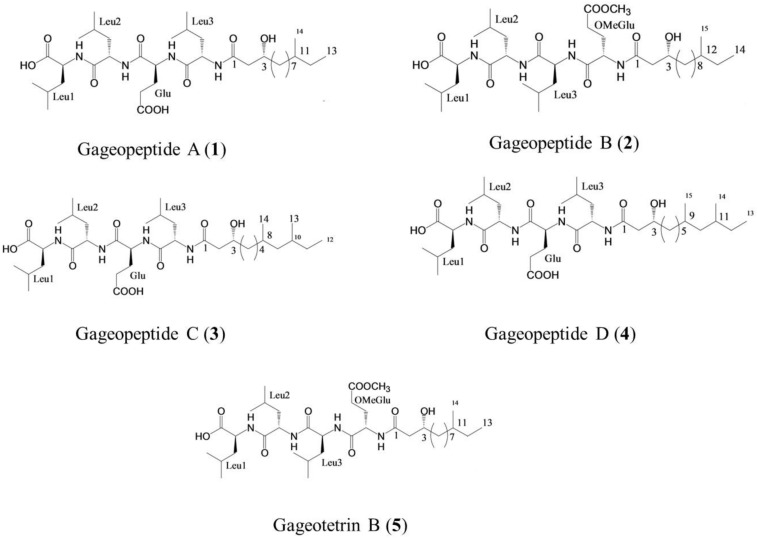 FIGURE 1