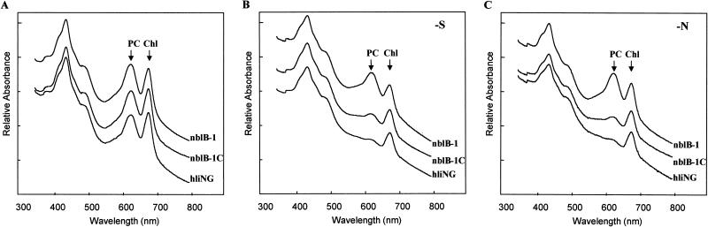 FIG. 3