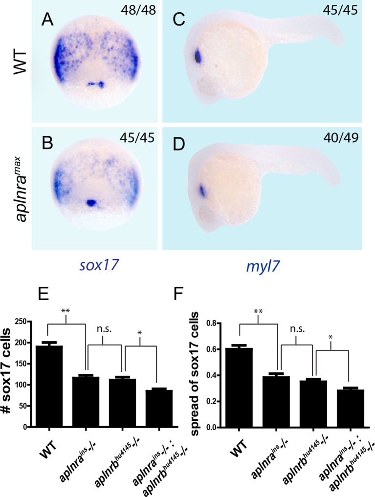 Figure 1—figure supplement 1.