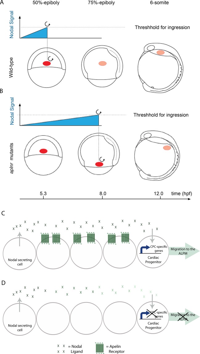 Figure 4—figure supplement 2.