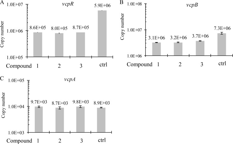 FIG 5