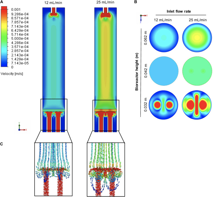 FIGURE 2