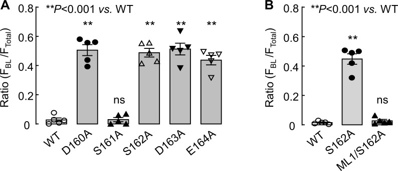 Figure 7—figure supplement 1.