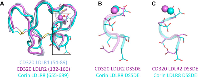 Figure 6—figure supplement 1.