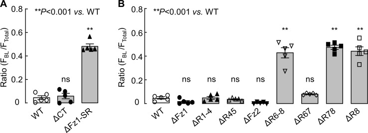 Figure 2—figure supplement 1.