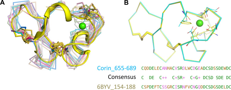 Figure 5—figure supplement 1.