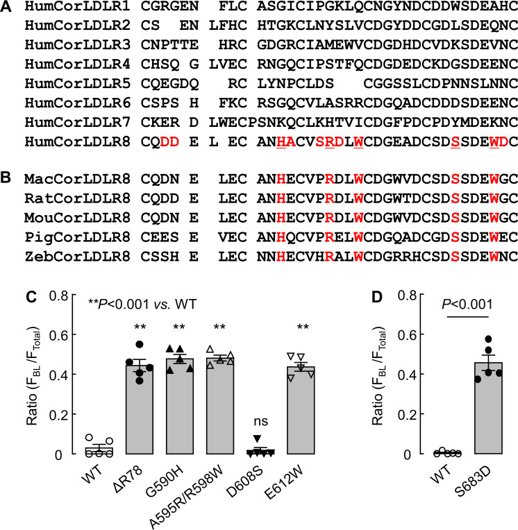 Figure 3—figure supplement 1.