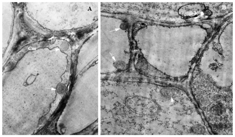 Figure 15