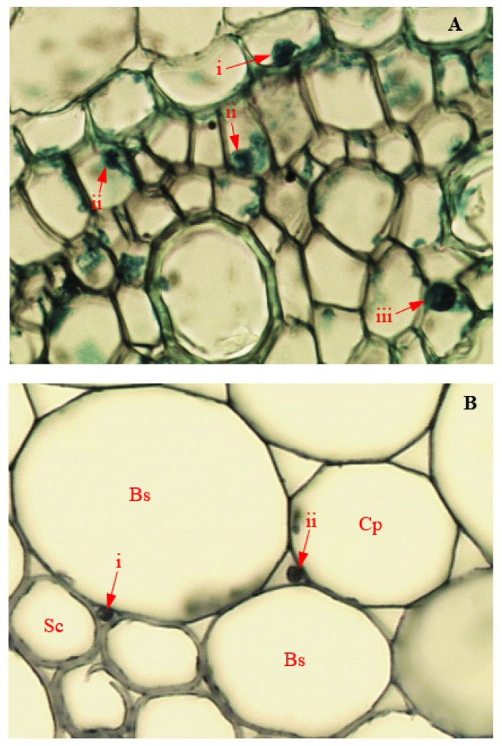 Figure 14