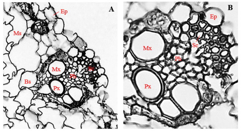 Figure 9