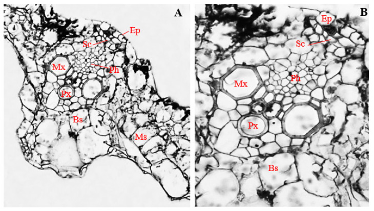 Figure 10