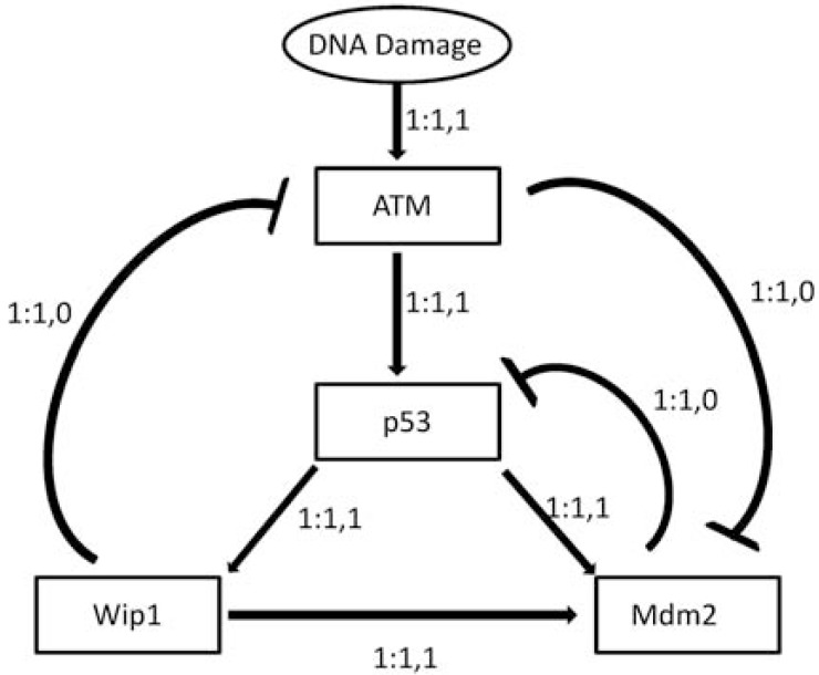 Fig. (2)