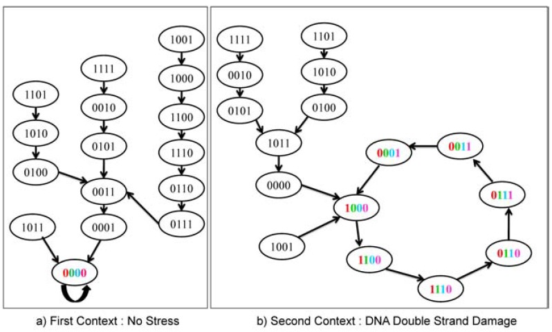 Fig. (1)