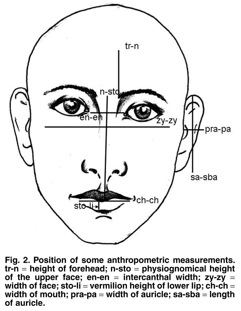 Fig. 2.