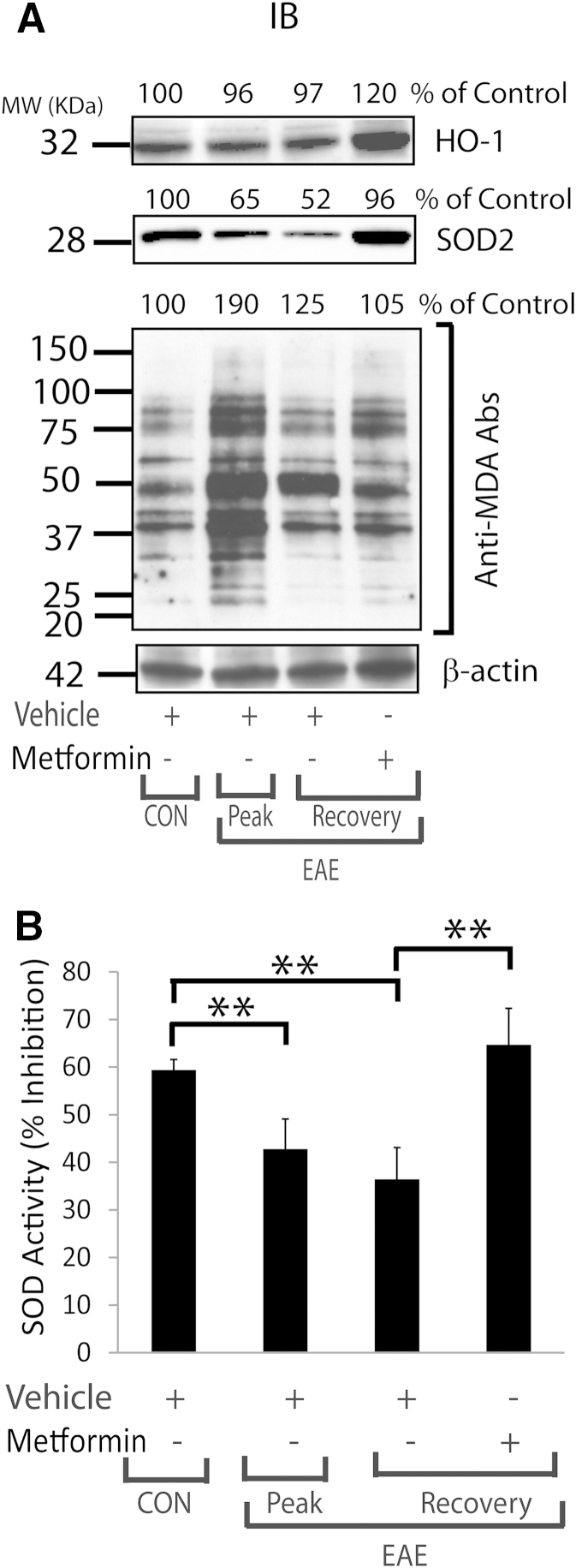 Figure 9