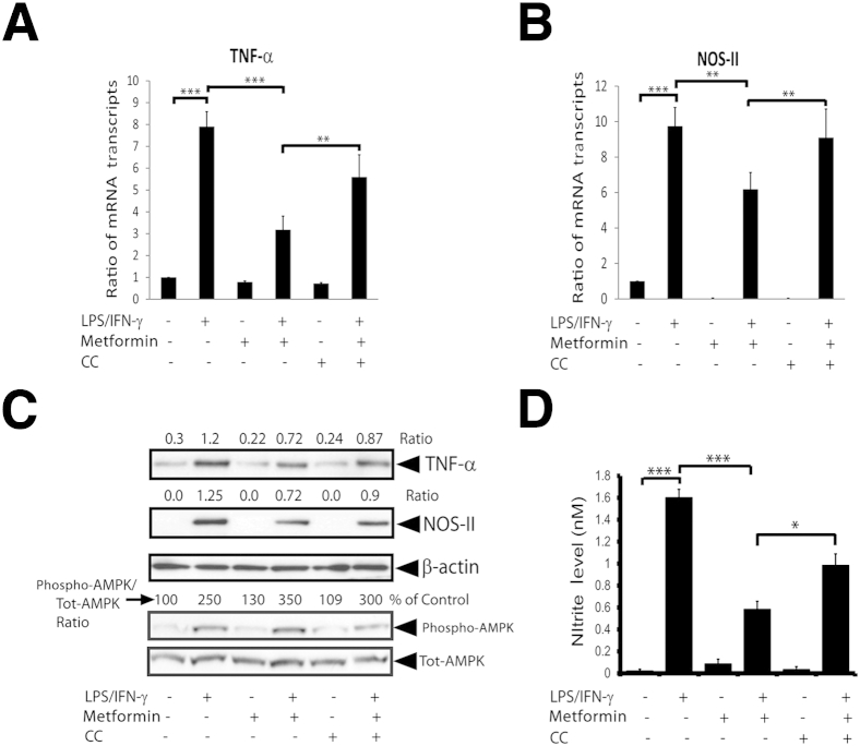 Figure 6