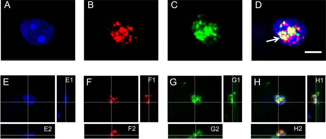 Fig. (2)