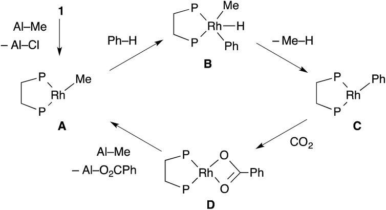 Scheme 2