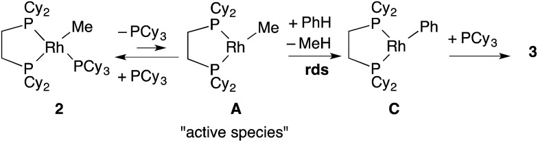 Scheme 5