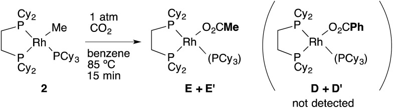 Scheme 8