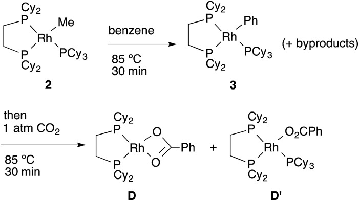 Scheme 4