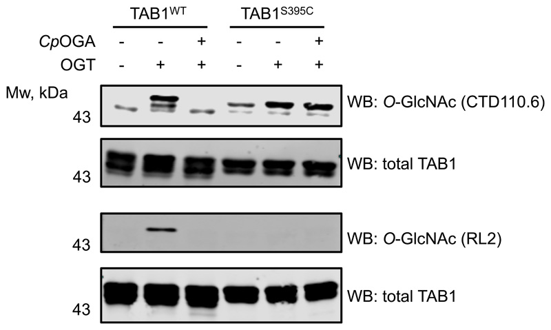 Extended Data Figure 3