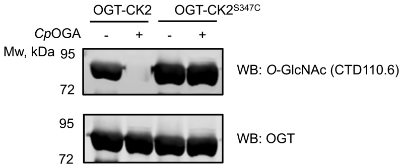 Extended Data Figure 2