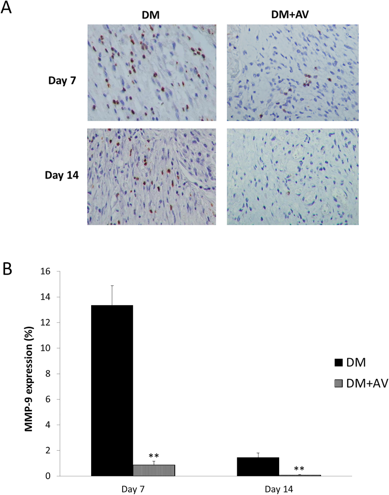 Figure 10