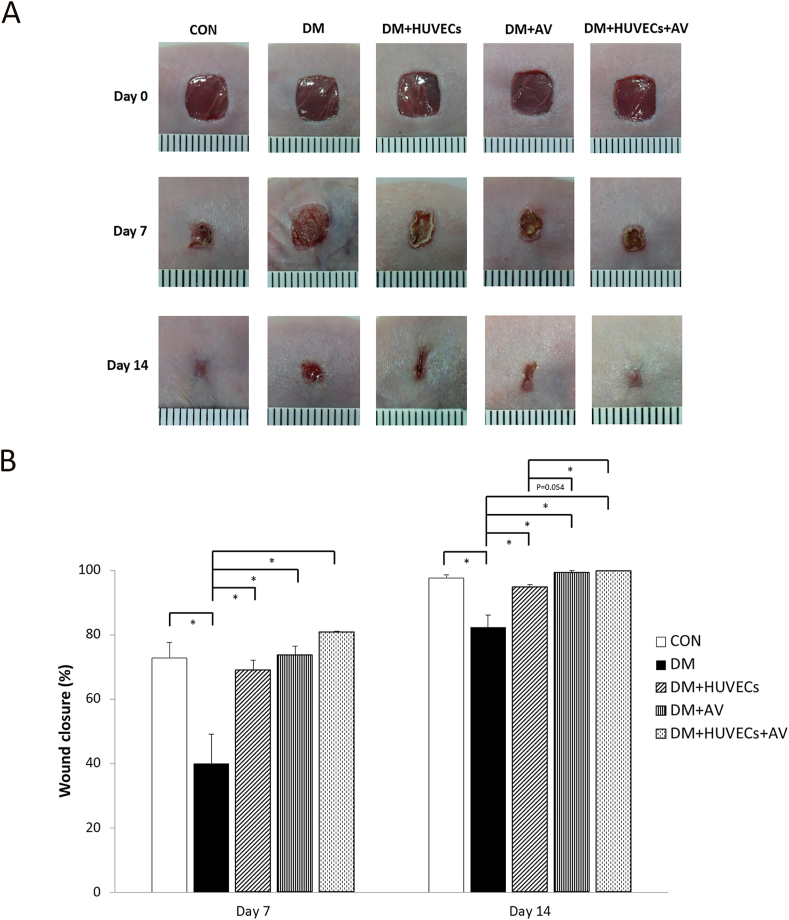 Figure 2