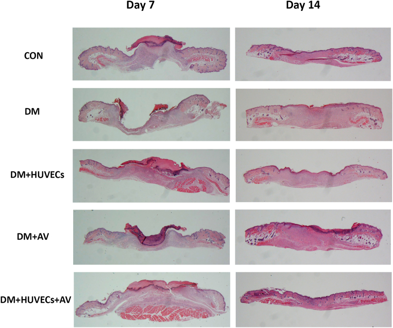 Figure 6