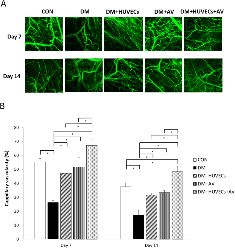 Figure 4