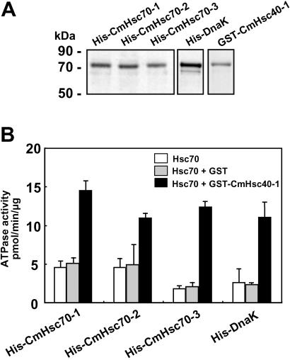 Fig 3.