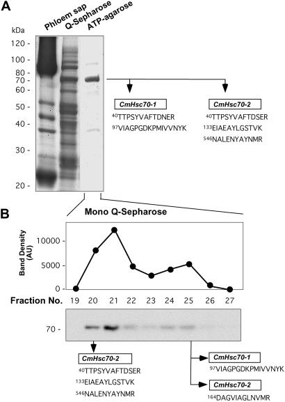 Fig 2.