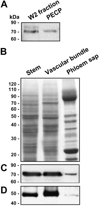 Fig 1.