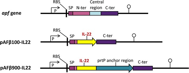 Fig. 1