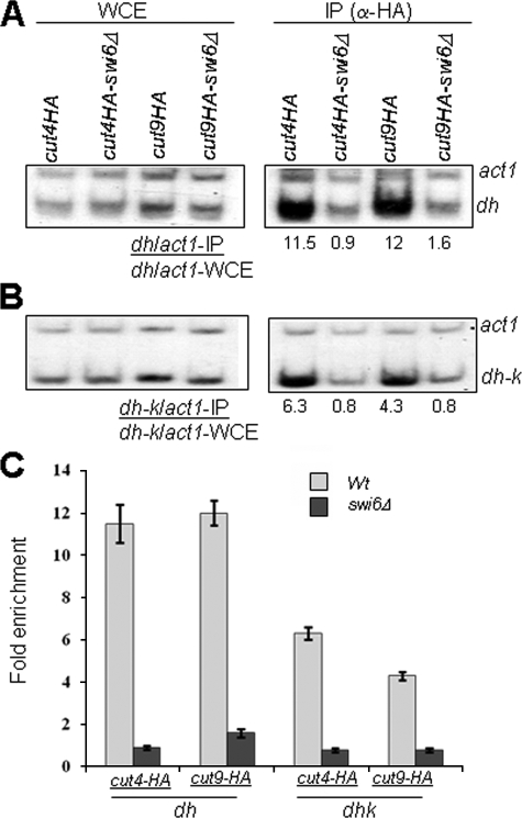 FIGURE 4.