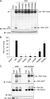 FIGURE 2.