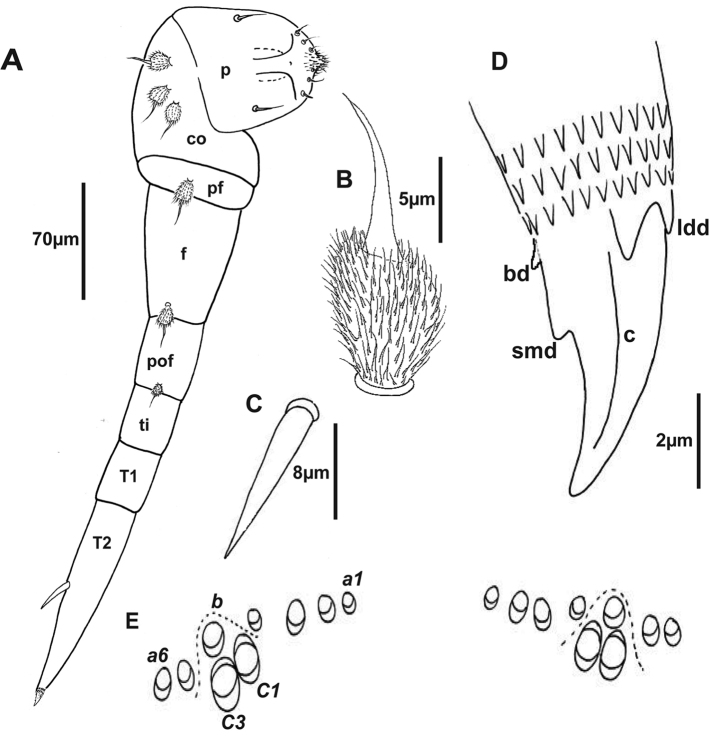 Figure 10.