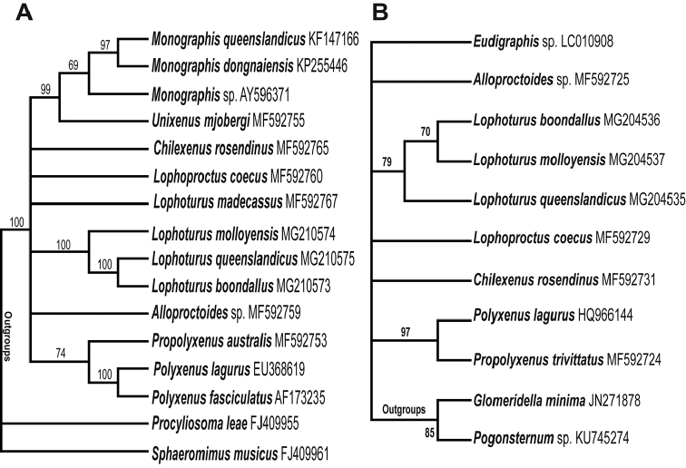 Figure 12.