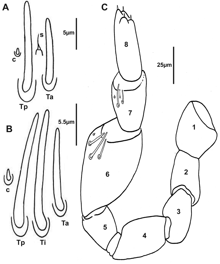 Figure 9.