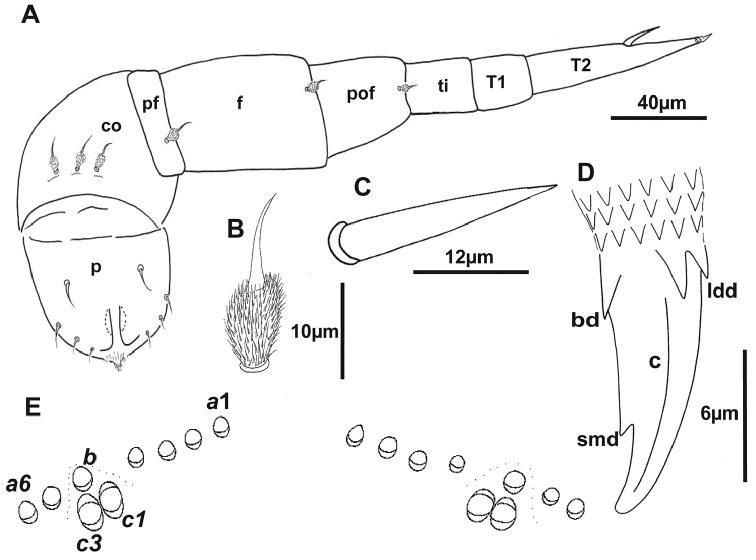 Figure 5.