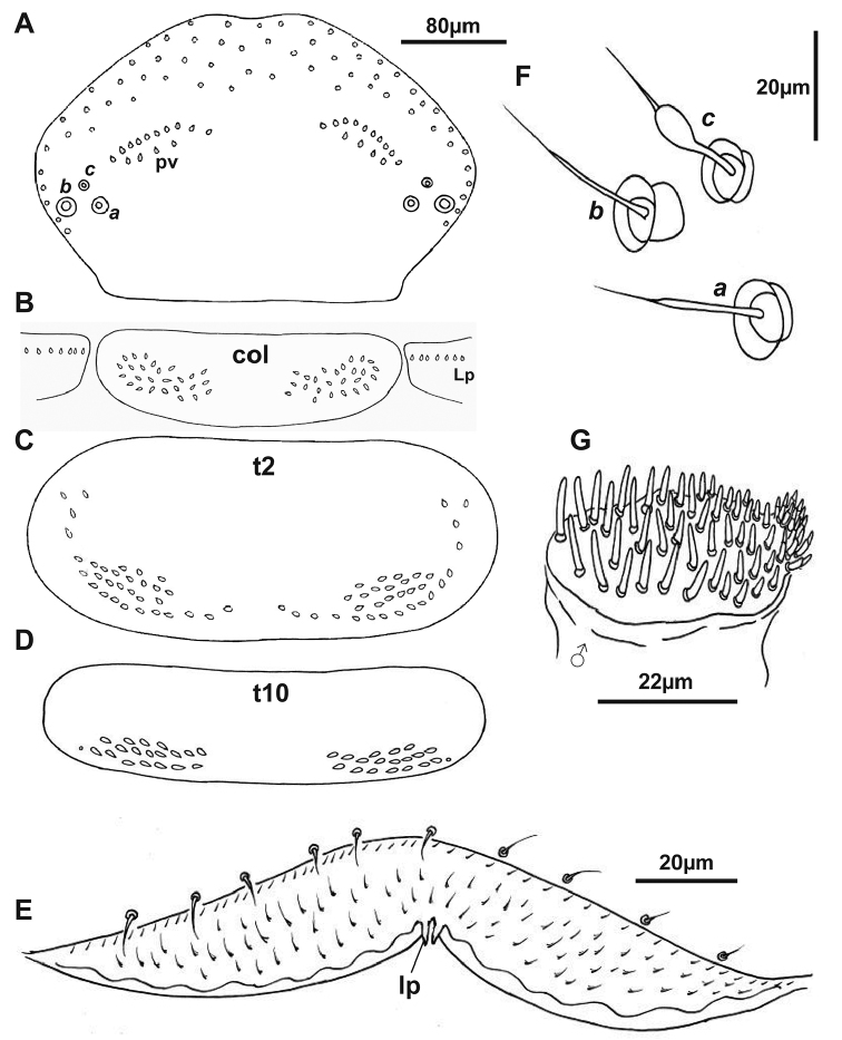 Figure 8.